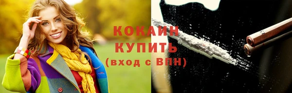 кокс Болотное