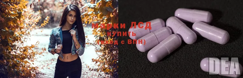 ЛСД экстази ecstasy  продажа наркотиков  Камешково 